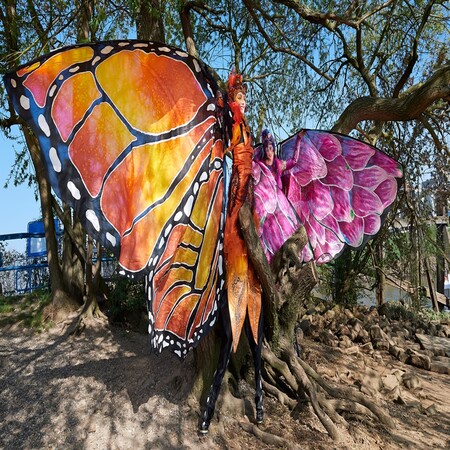 Les papillons colorés